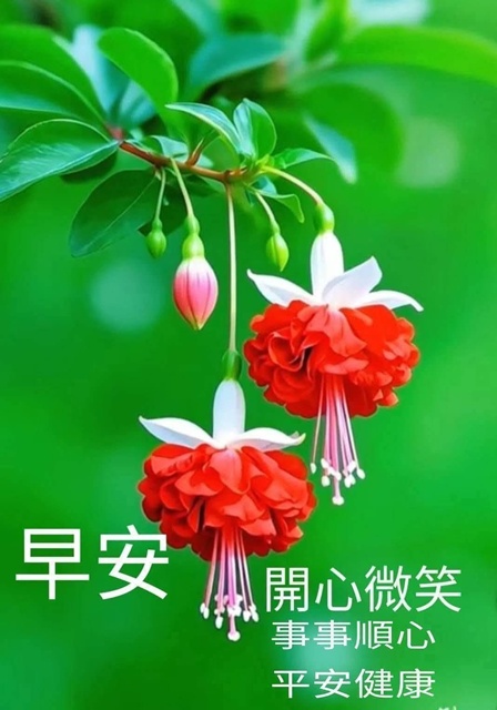 按我可連結至更清楚的圖片